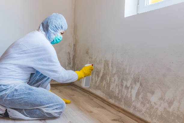 Licensed Mold Inspection And Testing service in Woburn, MA - Mold Remediation HQ