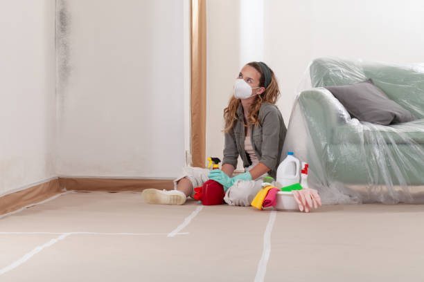 Reliable Mold Inspection And Testing contractor in Woburn, MA by Mold Remediation HQ